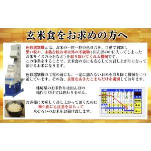 新米 令和8年産 30kg 送料無料 秋田県産...の詳細画像4