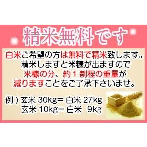 米 令和7年産 30kg 送料無料 秋田県産 ...の詳細画像3