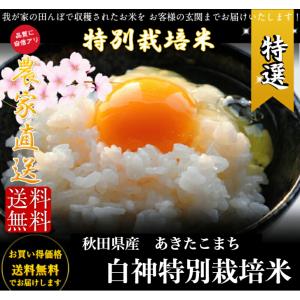 米 令和7年産 30kg 送料無料 秋田県産 ...の詳細画像1