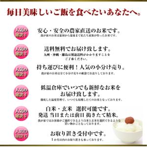 米 令和7年産 30kg 送料無料 秋田県産 ...の詳細画像2