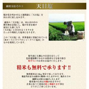 米 令和7年産 30kg 送料無料 秋田県産 ...の詳細画像5