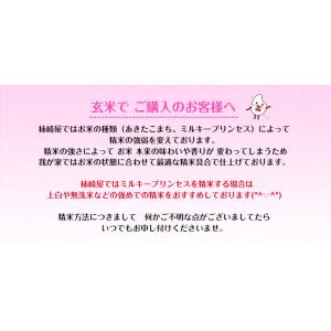 米 令和7年産 10kg 送料無料 秋田県産 ...の詳細画像5