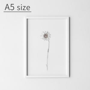 FRAME フレーム A5サイズ MOEBE ムーベ 額 おしゃれ 額縁 長方形 写真 ポストカード インテリア 雑貨 北欧 シンプル かわいい アクリル板 ナチュラル 白 黒