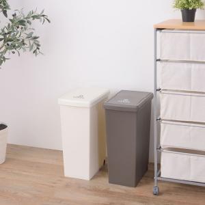 ゴミ箱 30L 分別 スライド蓋 日本製 ふた...の詳細画像3