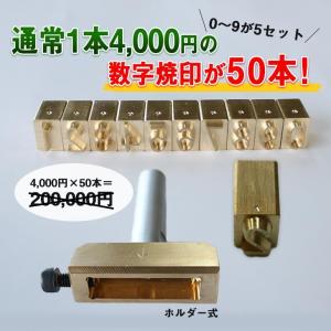 焼印 焼き印 5ケタまで 50本付 数字の差し...の詳細画像1