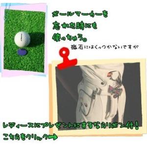 ネームプレート カラー チタン 名入れ無料 ゴ...の詳細画像1