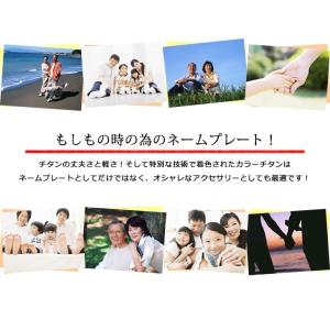 ネームプレート カラー チタン 名入れ無料 ゴ...の詳細画像4