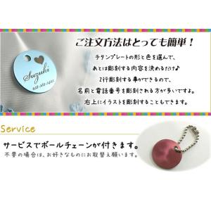 ネームプレート カラー チタン 名入れ無料 ゴ...の詳細画像5