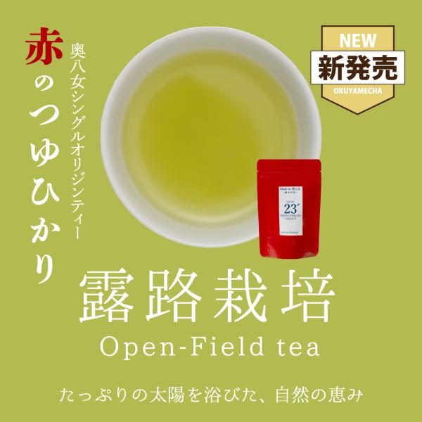 角田製茶　つゆひかり（露路栽培茶）　奥八女シングルオリジンティー　40g　【レターパック可】