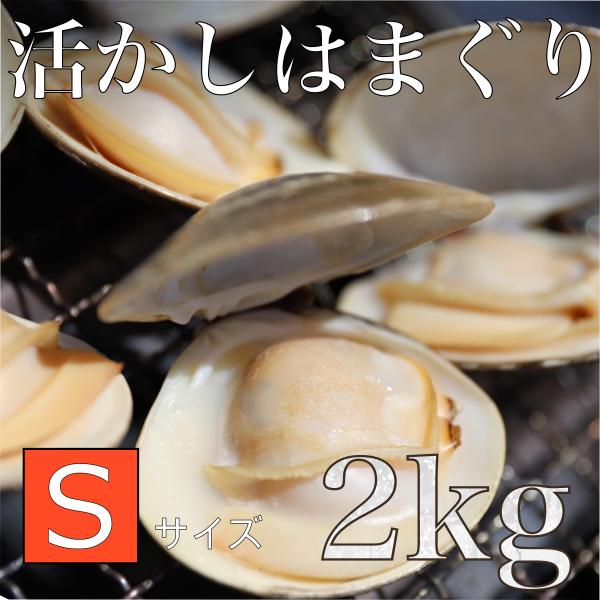 活かしはまぐり 2kg Sサイズ 約80-100個 ギフト 茶碗蒸し お吸い物 中国産 桑名 畜養 ...