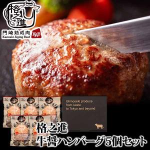 格之進 牛醤ハンバーグ 5個セット ギフト 冷凍 送料無料 無添加 国産牛 白金豚（新パッケージ）｜kakunoshin