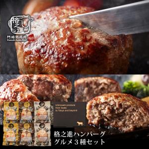 格之進ハンバーグ グルメ３種 セット（各2個）送料無料 ギフト 食べ物 冷凍 無添加 金格 薫格 牛醤｜門崎熟成肉 格之進 Yahoo!店