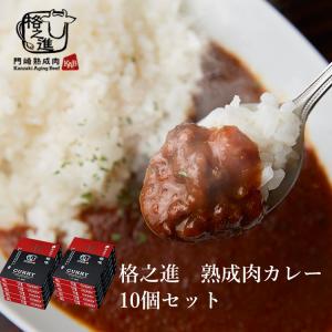 ビーフカレー 和牛 国産 黒毛和牛 レトルト ギフト 格之進 門崎 熟成肉カレー 10個セット 1袋/160g｜kakunoshin