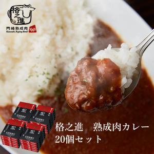 格之進 ビーフカレー 和牛 国産 黒毛和牛 レトルト ギフト 門崎 熟成肉