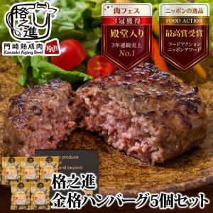 父の日 ギフト プレゼント 食べ物 ハンバーグ 冷凍 お取り寄せ 格之進 金格 5個セット 無添加 国産牛 白金豚 牛肉｜門崎熟成肉 格之進 Yahoo!店