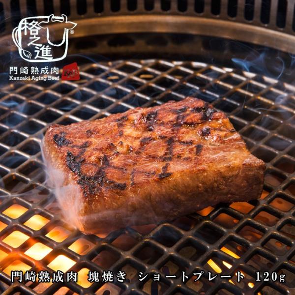 熟成肉 焼肉 牛肉 霜降り ステーキ 和牛 国産 ブロック 黒毛和牛 ギフト 送料無料 格之進 門崎...