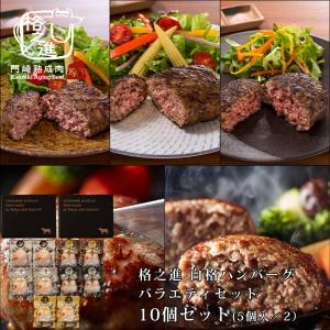 ハンバーグ ギフト 冷凍 格之進ハンバーグ ハンバーグバラエティセット10個入り（各1個合計5個入×2セット） 国産牛 白金豚 無添加（新パッケージ）｜kakunoshin