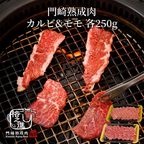 熟成肉 焼肉 セット 和牛 国産 黒毛和牛 ギフト 送料無料 格之進 門崎 セット （カルビ&amp;モモ）