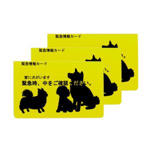 家に犬がいます 緊急情報カード クレジットカードサイズ 3枚セット｜kakuogadgets