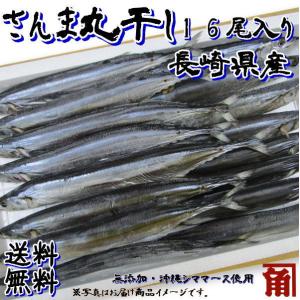 【送料無料】干物　冷凍　業務用　無添加　さんまの丸干し１６尾入　伊勢志摩 　国産魚