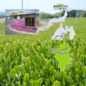2026年産 お茶 菊川茶飲み比べセット やぶ...の詳細画像2