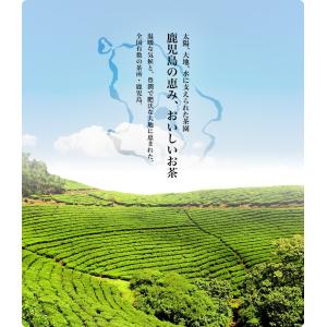 べにふうき 粉末 鹿児島産 40g×2袋 40...の詳細画像2