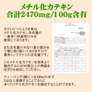 べにふうき 粉末 鹿児島産 40g×2袋 40...の詳細画像5