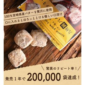 九州純バタークッキー 1袋 送料無料 きなこ ...の詳細画像2
