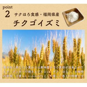 九州純バタークッキー 1袋 送料無料 きなこ ...の詳細画像4