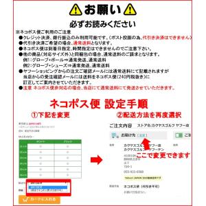 【サマーセール開催中】 送料無料 キャスコ k...の詳細画像2