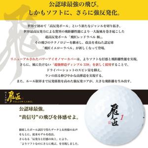【サマーセール開催中】 2025 ワークス 飛...の詳細画像2
