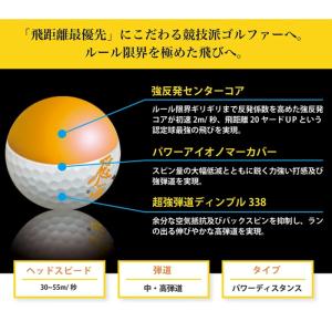 【サマーセール開催中】 2025 ワークス 飛...の詳細画像3