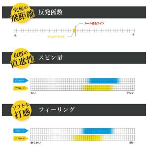 【サマーセール開催中】 2025 ワークス 飛...の詳細画像5