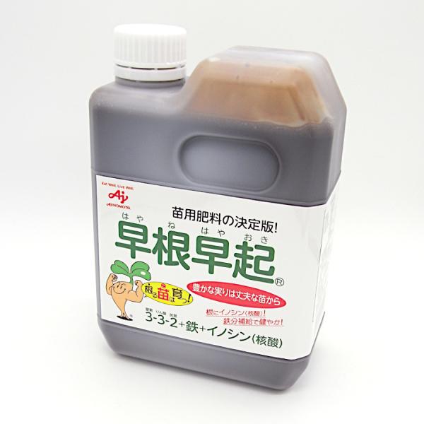 早根早起 1L（1.2kg）