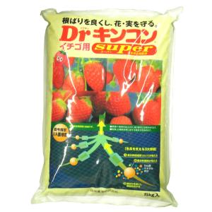 ドクターキンコンスーパー イチゴ用 5kg×4袋 計20kg｜kakuyasunouenn