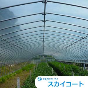 スカイコート 幅700cm×厚み0.05mm メーター単位切売り
