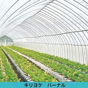 キリヨケバーナル 厚み0.13mm×幅540cm メーター単位切売り