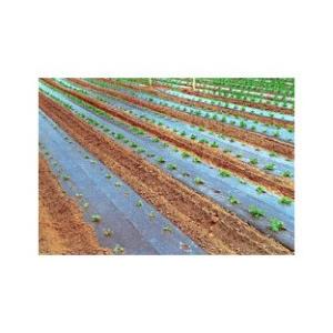 三共 黒ホールマルチ #9130 0.02mm×950mm×200m 1本