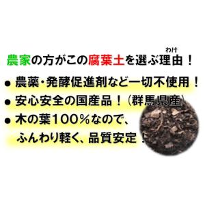 群馬県産 木の葉100%使用 国産 腐葉土 4...の詳細画像1