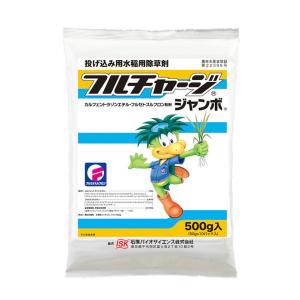 フルチャージジャンボ 500g 有効期限2028年10月まで