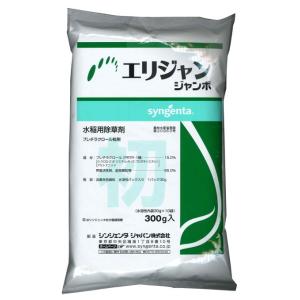 エリジャンジャンボ 300gの商品画像