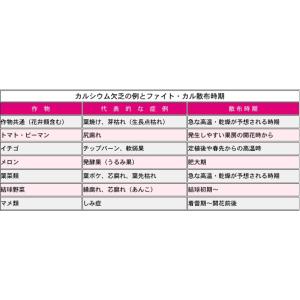 ファイトカル 1Lの詳細画像1