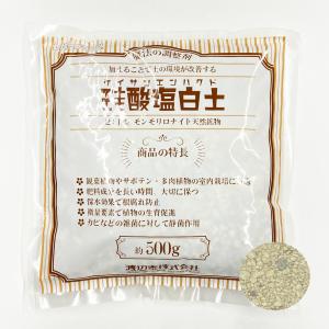 珪酸塩白土 500g