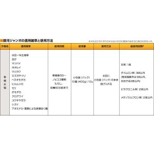 銀河ジャンボ 400g 有効期限2029年10月までの詳細画像1