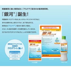 銀河ジャンボ 400g 有効期限2029年10月までの詳細画像2