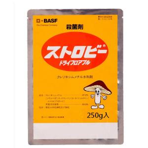 ストロビードライフロアブル 250g