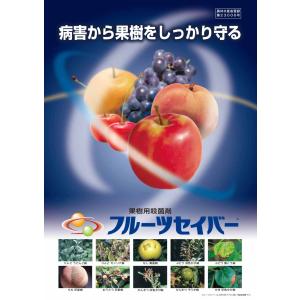 フルーツセイバー 334mlの詳細画像1