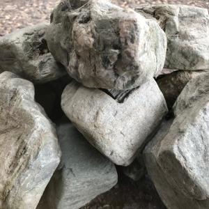 鳴門玉石 青 ２寸または５寸 １５kg 天然 徳島県産 庭石