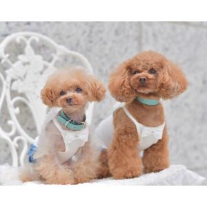 トイプードル 服のランキングtop100 人気売れ筋ランキング Yahoo ショッピング