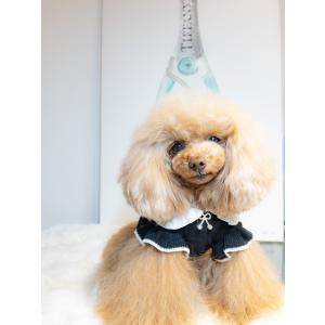 トイプードル 服のランキングtop100 人気売れ筋ランキング Yahoo ショッピング